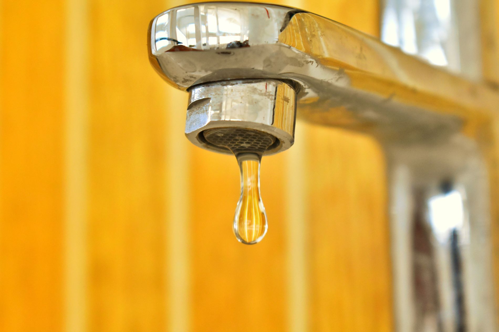 Qualité, traitement, origine… tout comprendre à l'eau du robinet