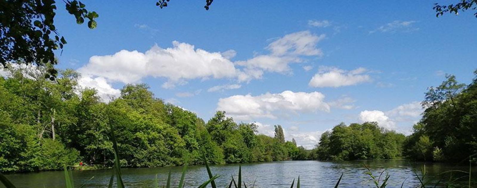 Place à la fête : du 24 au 29 mai, la nature est à l’honneur ! | Eau en ...