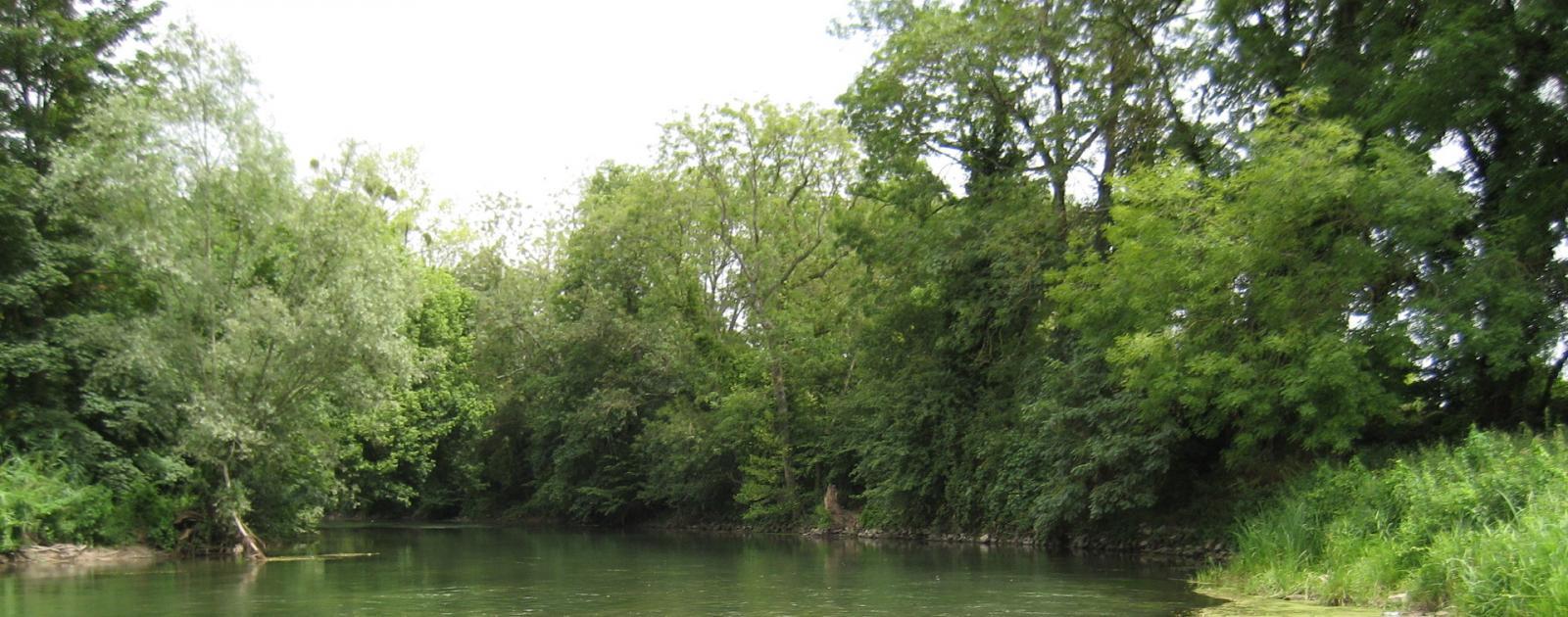 Laboratoire Départemental D analyse Seine Et Marne Plan Schéma Locaux Surveillance de la qualité et des débits des cours d'eau | Eau en Seine-et-Marne