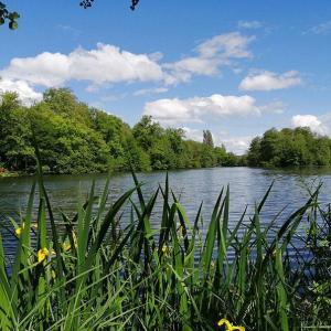 https://eau.seine-et-marne.fr/sites/eau.seine-et-marne.fr/files/styles/300x300/public/media/images/environnement-espace-naturel-sensible-basses-godernes-printemps-2021-cd77.jpg?itok=dW0jDcps