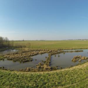 https://eau.seine-et-marne.fr/sites/eau.seine-et-marne.fr/files/styles/300x300/public/media/images/la-zone-humide-de-rampillon.jpg?itok=0gKImGh2