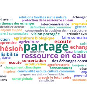 https://eau.seine-et-marne.fr/sites/eau.seine-et-marne.fr/files/styles/300x300/public/media/images/nuage-de-mots-atelier-1-cd77_0.png?itok=kZRJYzfe