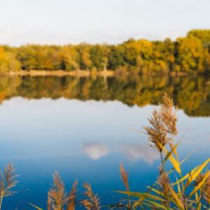 https://eau.seine-et-marne.fr/sites/eau.seine-et-marne.fr/files/styles/300x300/public/media/images/plaine-de-sorque-2020.10.17-18-arthur-delicque.jpg?itok=edxKGkKI