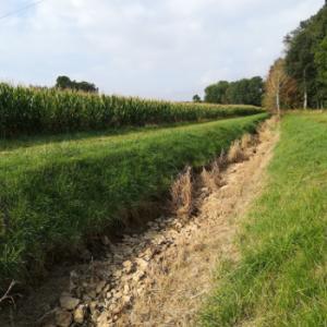 https://eau.seine-et-marne.fr/sites/eau.seine-et-marne.fr/files/styles/300x300/public/media/images/ru-de-letang-de-beuvron_29_08_2019_2.jpg?itok=0dlzqXQB