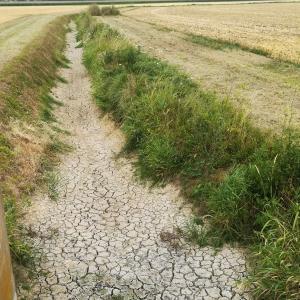 https://eau.seine-et-marne.fr/sites/eau.seine-et-marne.fr/files/styles/300x300/public/media/images/secheresse.jpg?itok=zAmtc6Iq