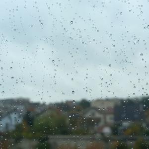https://eau.seine-et-marne.fr/sites/eau.seine-et-marne.fr/files/styles/300x300/public/media/images/vignette-pluie.jpg?itok=aKUpud2U