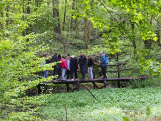 Un classe de collégiens traversent une passerelle en bois dans un milieu boisé