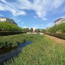 Un place aménagée en bassin végétalisé, bordée d'arbres, au cœur d'une zone urbaine
