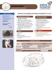 Première page de la fiche de reconnaissance du ragondin