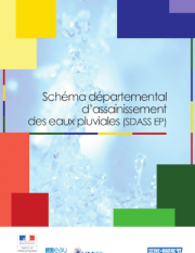 Couverture DSASS EP - Juin 2015