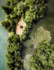 On voit l'ENS du Haut, comme une presque île dans une eau vert bleu