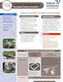 Vue sur la Fiche de reconnaissance EEI -Tortue de Floride