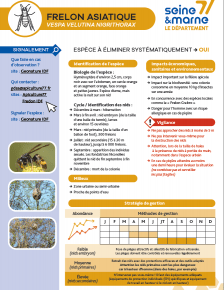 Vue de la Fiche de reconnaissance EEI - Frelon Asiatique