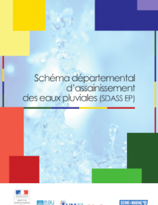 Couverture DSASS EP - Juin 2015