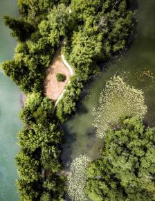 On voit l'ENS du Haut, comme une presque île dans une eau vert bleu