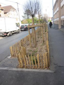 Entre l'accotement et la chaussée une zone désimperméabilisée avec des copeaux de bois et un arbre ainsi qu'une délimitation par une petite barrière de bois.