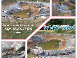 Agrandir l’image