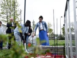 Agrandir l’image