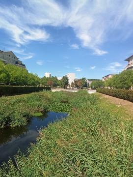 Un place aménagée en bassin végétalisé, bordée d'arbres, au cœur d'une zone urbaine