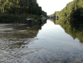 Agrandir l’image