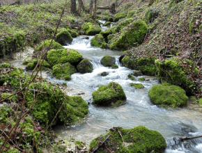 Agrandir l’image
