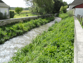 Agrandir l’image