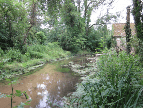Agrandir l’image