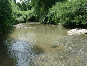 Agrandir l’image