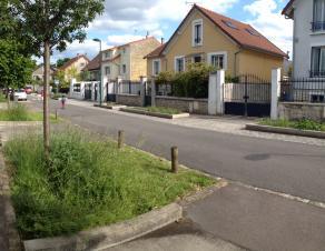 Aménagement de noues végétalisées et plantées d'arbres le long d'une rue bordée d'habitations