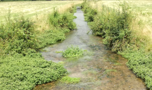 Rivière le Betz (affluent du Loing)