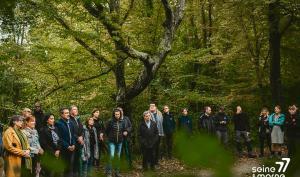 Une assemblée dans un milieu boisé et vert
