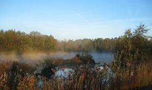 ENS Marais d'Episy - Etang dans la brume matinale