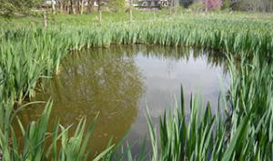 ENS La Prairie Clemenceau, Moret sur Loing 