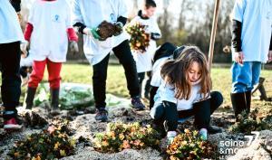 Des élèves en train de planter des vivaces dans un massif