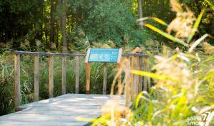 Panneau explicatif au bout d'un chemin en bois suspendu au dessus végétations (quelques centimètres) et entouré d'herbes hautes