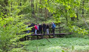 Les Bordes Chalonges