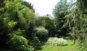 Jardin vert