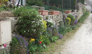 Montmachoux fleurissement particulier