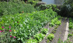 Potager