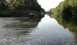 Rivière le Loing