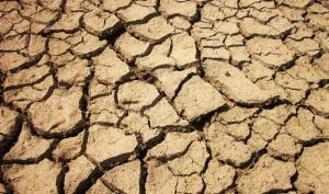 Sècheresse - terre sèche craquelée