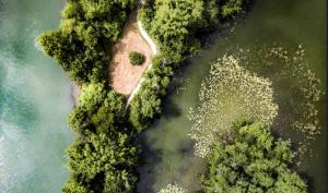 On voit l'ENS du Haut, comme une presque île dans une eau vert bleu
