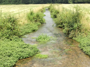 Rivière le Betz (affluent du Loing)