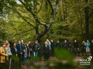 Une assemblée dans un milieu boisé et vert