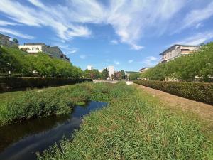 Un place aménagée en bassin végétalisé, bordée d'arbres, au cœur d'une zone urbaine