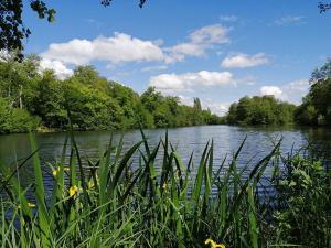 Etang de l'Espace Naturel Sensible des Basses Godernes