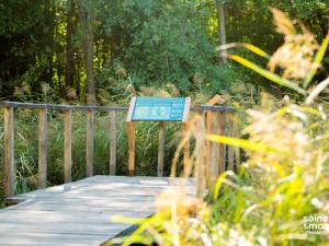 Panneau explicatif au bout d'un chemin en bois suspendu au dessus végétations (quelques centimètres) et entouré d'herbes hautes