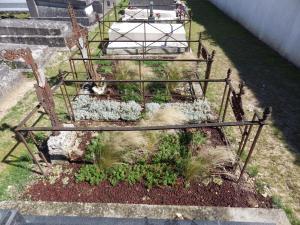 Essai de plantation de vivaces sur les tombes abandonnées et les entre-tombes d'un cimetière