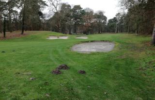 Bunkers Fontainebleau