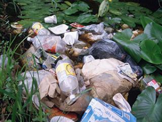 Déchets dans un milieu aquatique